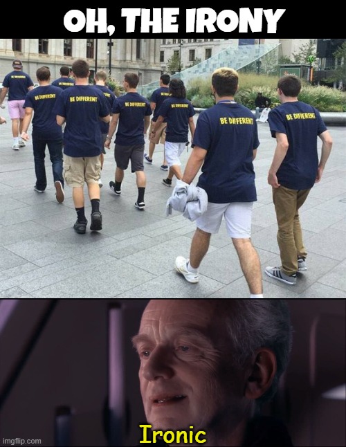 Well their shoes and pants are different. | OH, THE IRONY; Ironic | image tagged in palpatine ironic,irony,different | made w/ Imgflip meme maker