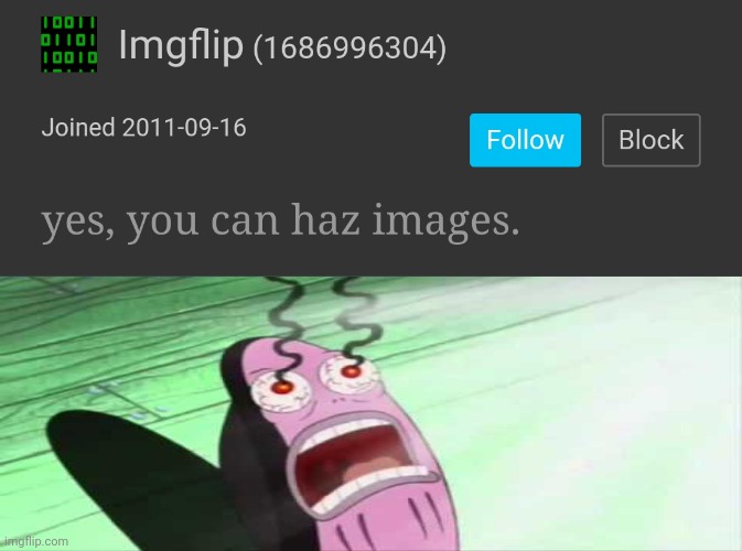 The owner of imgflip | made w/ Imgflip meme maker