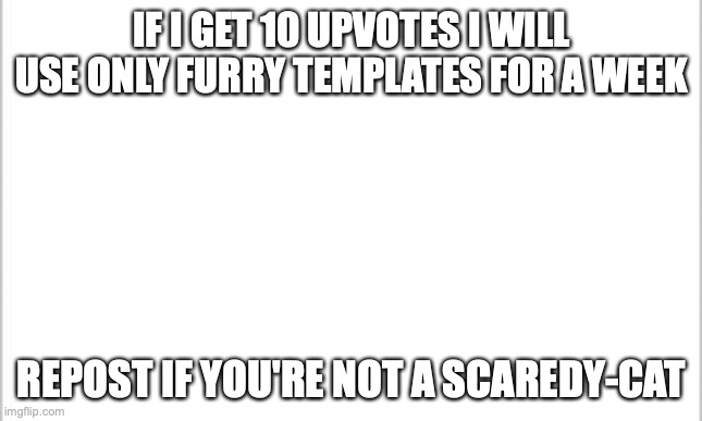 it stacks too, if I get 20 upvotes I'll use it for 2 weeks and so on | IF I GET 10 UPVOTES I WILL USE ONLY FURRY TEMPLATES FOR A WEEK; REPOST IF YOU'RE NOT A SCAREDY-CAT | image tagged in white background | made w/ Imgflip meme maker