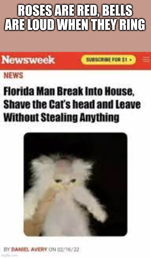 ROSES ARE RED, BELLS ARE LOUD WHEN THEY RING | image tagged in florida man | made w/ Imgflip meme maker