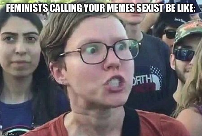 Triggered Liberal | FEMINISTS CALLING YOUR MEMES SEXIST BE LIKE: | image tagged in triggered liberal | made w/ Imgflip meme maker