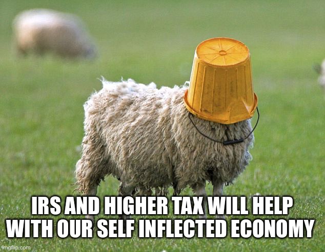IRS AND HIGHER TAX WILL HELP
WITH OUR SELF INFLECTED ECONOMY | image tagged in stupid sheep | made w/ Imgflip meme maker