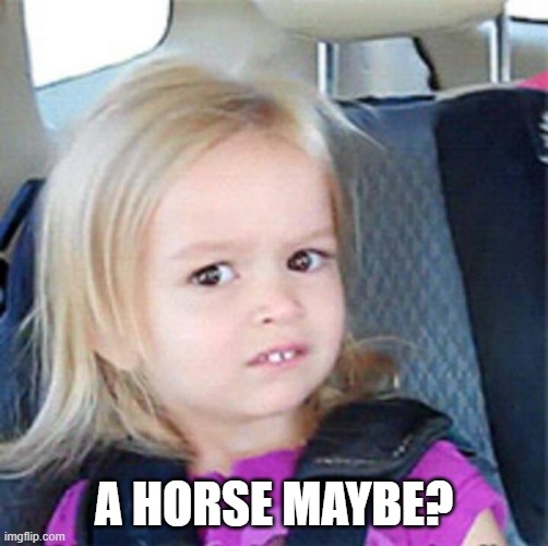 Confused Little Girl | A HORSE MAYBE? | image tagged in confused little girl | made w/ Imgflip meme maker