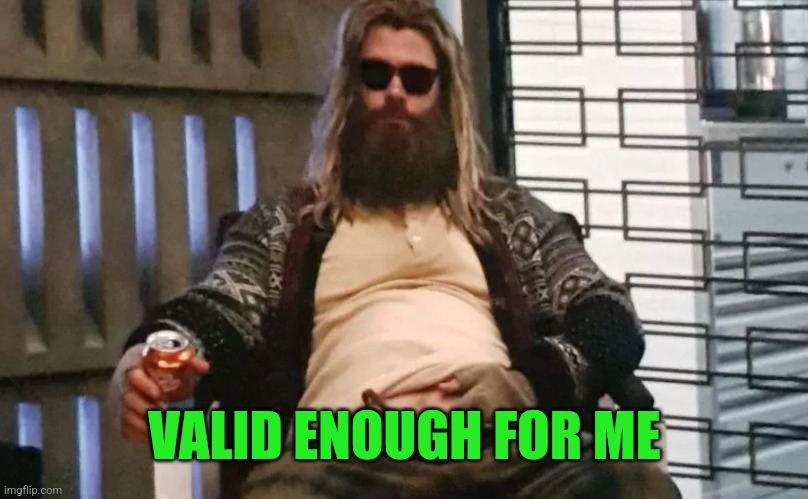 Fat Thor | VALID ENOUGH FOR ME | image tagged in fat thor | made w/ Imgflip meme maker