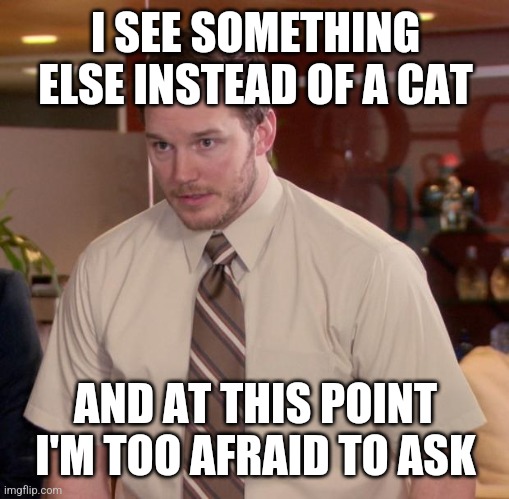 Afraid To Ask Andy Meme | I SEE SOMETHING ELSE INSTEAD OF A CAT AND AT THIS POINT I'M TOO AFRAID TO ASK | image tagged in memes,afraid to ask andy | made w/ Imgflip meme maker