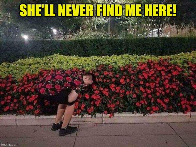 SHE'LL NEVER FIND ME HERE! | made w/ Imgflip meme maker