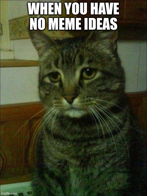 this is me |  WHEN YOU HAVE NO MEME IDEAS | image tagged in memes,depressed cat | made w/ Imgflip meme maker