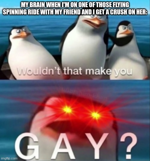 About damn time you figured it out, brain | MY BRAIN WHEN I'M ON ONE OF THOSE FLYING SPINNING RIDE WITH MY FRIEND AND I GET A CRUSH ON HER: | image tagged in wouldn't that make you gay | made w/ Imgflip meme maker