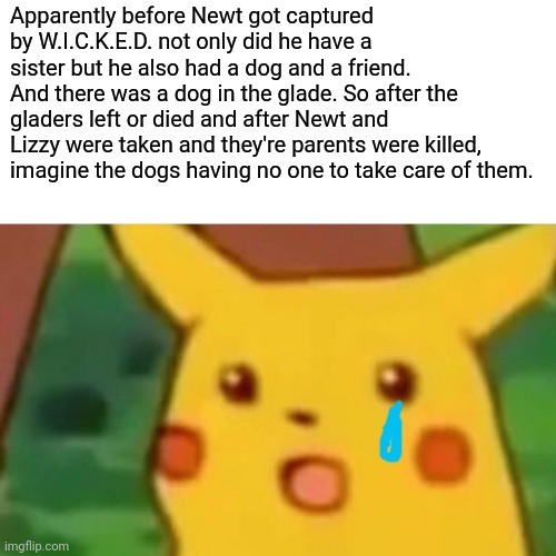 This is not a meme. This is sad information. | Apparently before Newt got captured by W.I.C.K.E.D. not only did he have a sister but he also had a dog and a friend. And there was a dog in the glade. So after the gladers left or died and after Newt and Lizzy were taken and they're parents were killed, imagine the dogs having no one to take care of them. | image tagged in surprised pikachu,maze runner,not a meme | made w/ Imgflip meme maker