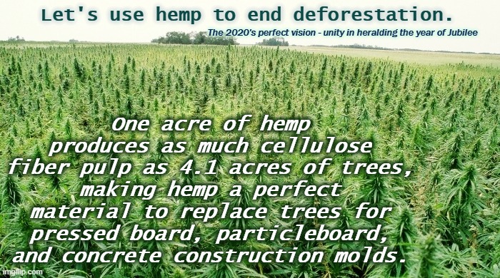 Hem can heal the wood | One acre of hemp produces as much cellulose fiber pulp as 4.1 acres of trees, making hemp a perfect material to replace trees for pressed board, particleboard, and concrete construction molds. Let's use hemp to end deforestation. The 2020's perfect vision - unity in heralding the year of Jubilee | image tagged in hemp field,deforestation,grow,heal the earth,sustainability | made w/ Imgflip meme maker