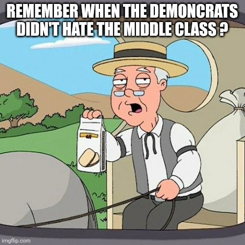 Remember during the midterms | REMEMBER WHEN THE DEMONCRATS DIDN'T HATE THE MIDDLE CLASS ? | image tagged in memes,pepperidge farm remembers | made w/ Imgflip meme maker