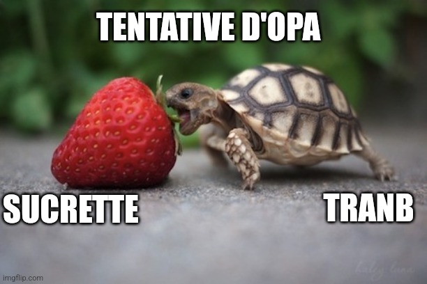 Turtle with Strawberry | TENTATIVE D'OPA; TRANB; SUCRETTE | image tagged in turtle with strawberry | made w/ Imgflip meme maker