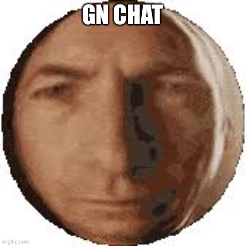 gn chat | GN CHAT | image tagged in ball goodman,gn chat,that would be your mother | made w/ Imgflip meme maker