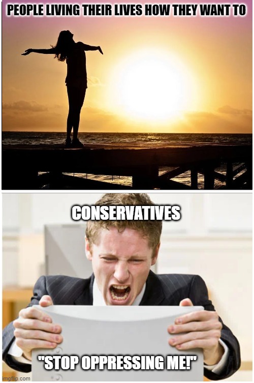 Blank Comic Panel 1x2 Meme |  PEOPLE LIVING THEIR LIVES HOW THEY WANT TO; CONSERVATIVES; "STOP OPPRESSING ME!" | image tagged in memes,blank comic panel 1x2,conservatives | made w/ Imgflip meme maker