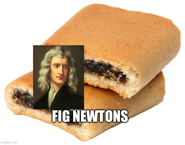Fig newton  | FIG NEWTONS | image tagged in fig newton | made w/ Imgflip meme maker