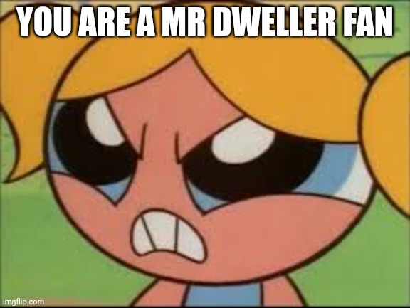 YOU ARE A MR DWELLER FAN | made w/ Imgflip meme maker