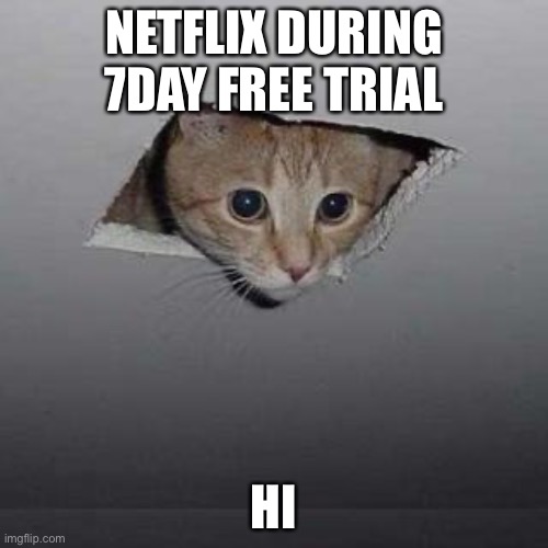 Ceiling Cat | NETFLIX DURING 7DAY FREE TRIAL; HI | image tagged in memes,ceiling cat | made w/ Imgflip meme maker