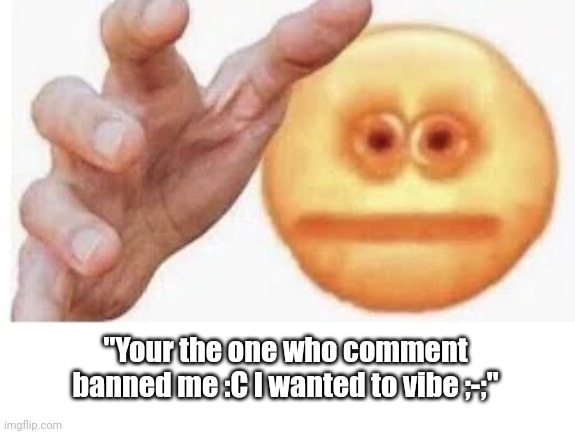 Vibe Check | "Your the one who comment banned me :C I wanted to vibe ;-;" | image tagged in vibe check | made w/ Imgflip meme maker