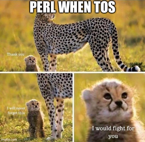 I would fight for you | PERL WHEN TOS | image tagged in i would fight for you | made w/ Imgflip meme maker
