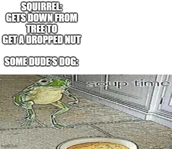 soup time | SQUIRREL: GETS DOWN FROM TREE TO GET A DROPPED NUT; SOME DUDE'S DOG: | image tagged in soup time | made w/ Imgflip meme maker