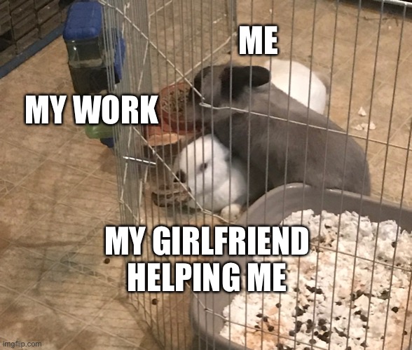 Bunny Step | ME; MY WORK; MY GIRLFRIEND HELPING ME | image tagged in bunny step | made w/ Imgflip meme maker