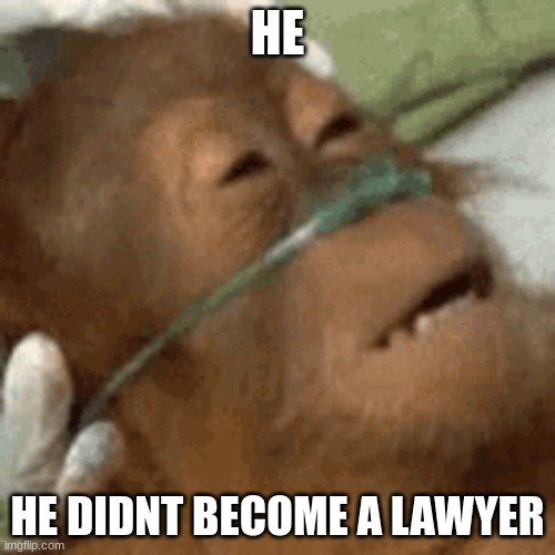 HE; HE DIDNT BECOME A LAWYER | image tagged in memes,funny,asain | made w/ Imgflip meme maker