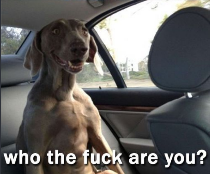 High Quality Who The F**k Are You? Dog Blank Meme Template