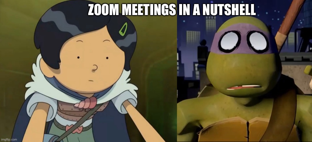 Marcy Wu and Donnie in a zoom meeting |  ZOOM MEETINGS IN A NUTSHELL | image tagged in amphibia,teenage mutant ninja turtles,disney channel,nickelodeon,zoom | made w/ Imgflip meme maker