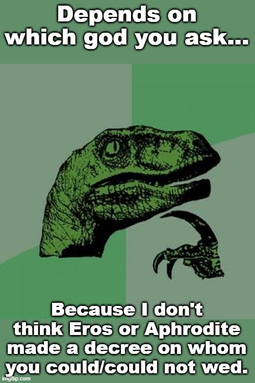 Philosoraptor Meme | Depends on which god you ask... Because I don't think Eros or Aphrodite made a decree on whom you could/could not wed. | image tagged in memes,philosoraptor | made w/ Imgflip meme maker