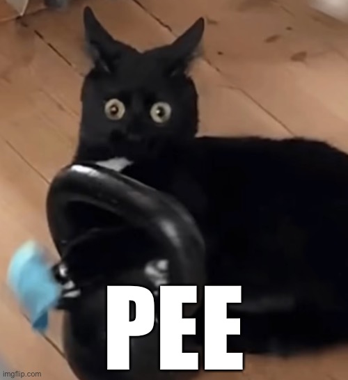 PEE | made w/ Imgflip meme maker