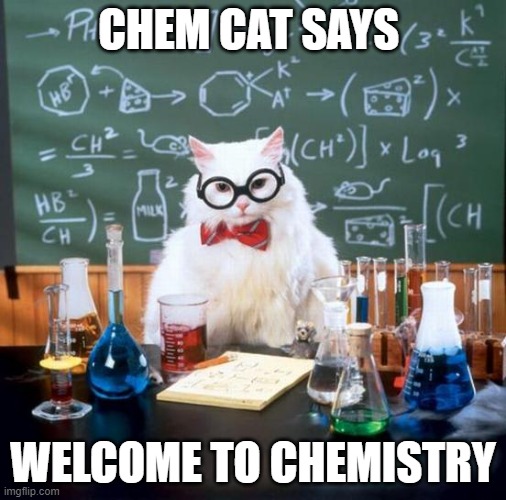 Chemistry Cat |  CHEM CAT SAYS; WELCOME TO CHEMISTRY | image tagged in memes,chemistry cat | made w/ Imgflip meme maker