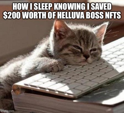 tired cat | HOW I SLEEP KNOWING I SAVED $200 WORTH OF HELLUVA BOSS NFTS | image tagged in tired cat | made w/ Imgflip meme maker