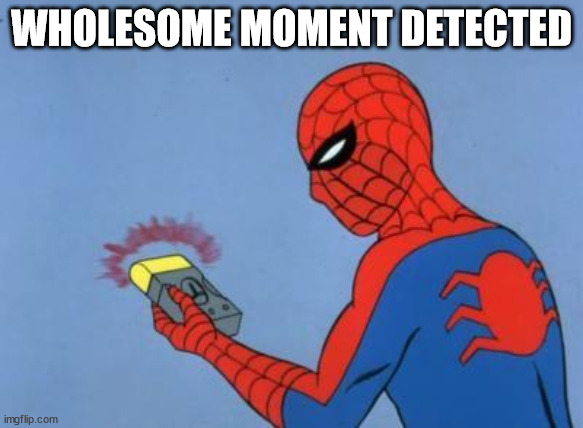 spiderman detector | WHOLESOME MOMENT DETECTED | image tagged in spiderman detector | made w/ Imgflip meme maker