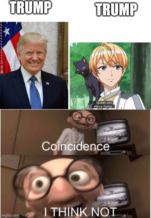 Coincidence, I THINK NOT | TRUMP; TRUMP | image tagged in coincidence i think not | made w/ Imgflip meme maker