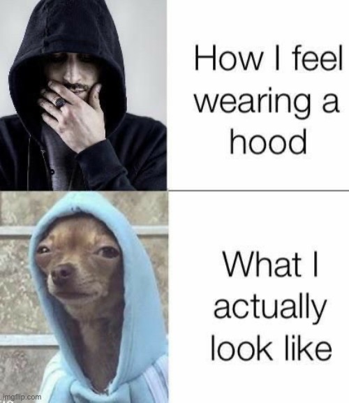 True | image tagged in memes,funny | made w/ Imgflip meme maker