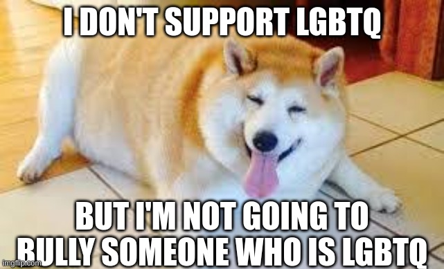 o  note: what logic is that) | I DON'T SUPPORT LGBTQ; BUT I'M NOT GOING TO BULLY SOMEONE WHO IS LGBTQ | image tagged in lgbtq,bad pun dog,buff doge vs cheems,thicc,dogs,dog | made w/ Imgflip meme maker