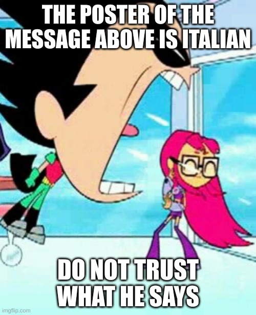 Robin screaming | THE POSTER OF THE MESSAGE ABOVE IS ITALIAN; DO NOT TRUST WHAT HE SAYS | image tagged in robin screaming | made w/ Imgflip meme maker