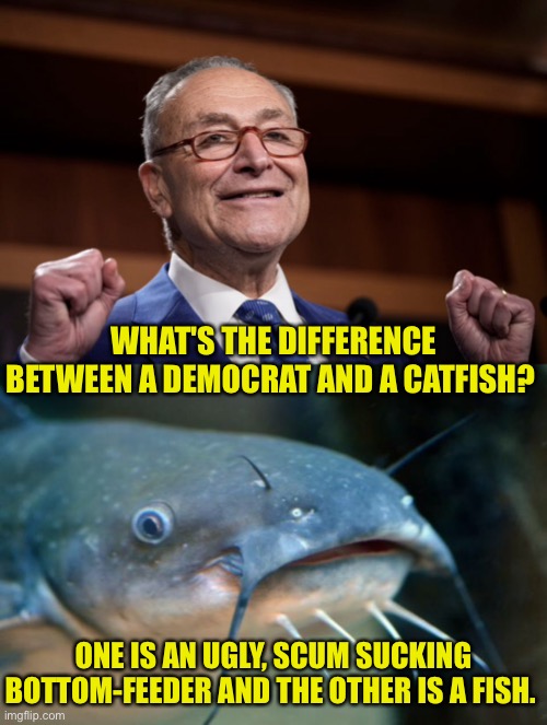 Difference between Democrat and Catfish | WHAT'S THE DIFFERENCE BETWEEN A DEMOCRAT AND A CATFISH? ONE IS AN UGLY, SCUM SUCKING BOTTOM-FEEDER AND THE OTHER IS A FISH. | image tagged in catfish catfish,democrat,ugly scum sucker,fish,politics | made w/ Imgflip meme maker
