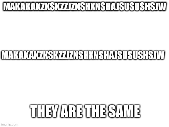 Blank White Template | MAKAKAKZKSKZZJZNSHXNSHAJSUSUSHSJW; MAKAKAKZKSKZZJZNSHXNSHAJSUSUSHSJW; THEY ARE THE SAME | image tagged in blank white template | made w/ Imgflip meme maker