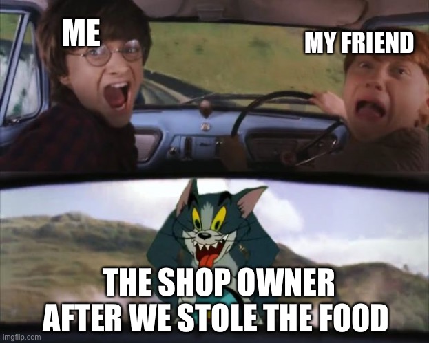 Harry Potter Tom cat meme | MY FRIEND; ME; THE SHOP OWNER AFTER WE STOLE THE FOOD | image tagged in harry potter tom cat meme | made w/ Imgflip meme maker