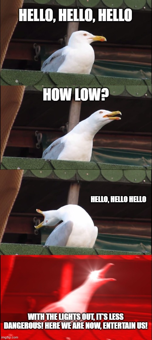Inhaling Seagull Meme | HELLO, HELLO, HELLO; HOW LOW? HELLO, HELLO HELLO; WITH THE LIGHTS OUT, IT'S LESS DANGEROUS! HERE WE ARE NOW, ENTERTAIN US! | image tagged in memes,inhaling seagull | made w/ Imgflip meme maker