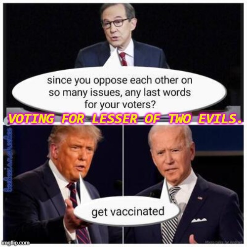 Voting for lesser of two evils. | VOTING FOR LESSER OF TWO EVILS. | image tagged in politicians and diapers | made w/ Imgflip meme maker