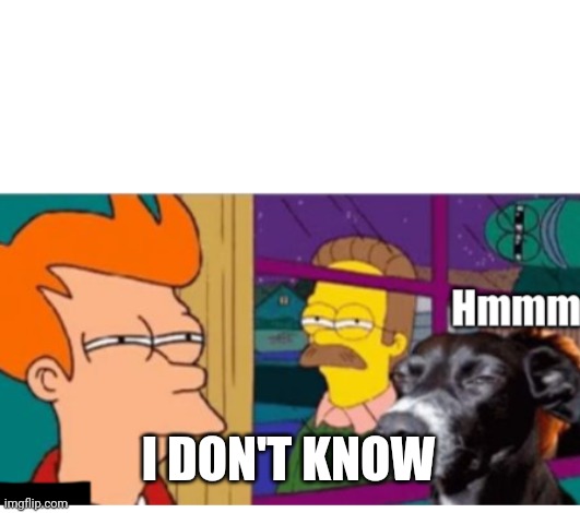 Hmmm | I DON'T KNOW | image tagged in hmmm | made w/ Imgflip meme maker