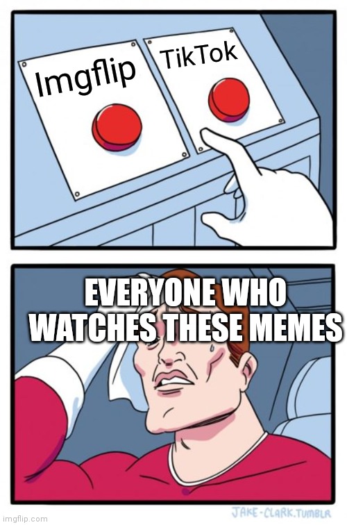 What one are you pressing? | TikTok; Imgflip; EVERYONE WHO WATCHES THESE MEMES | image tagged in memes,two buttons | made w/ Imgflip meme maker