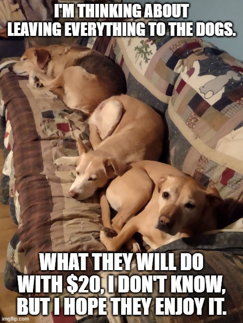 Dogs | I'M THINKING ABOUT LEAVING EVERYTHING TO THE DOGS. WHAT THEY WILL DO WITH $20, I DON'T KNOW, BUT I HOPE THEY ENJOY IT. | image tagged in dogs | made w/ Imgflip meme maker