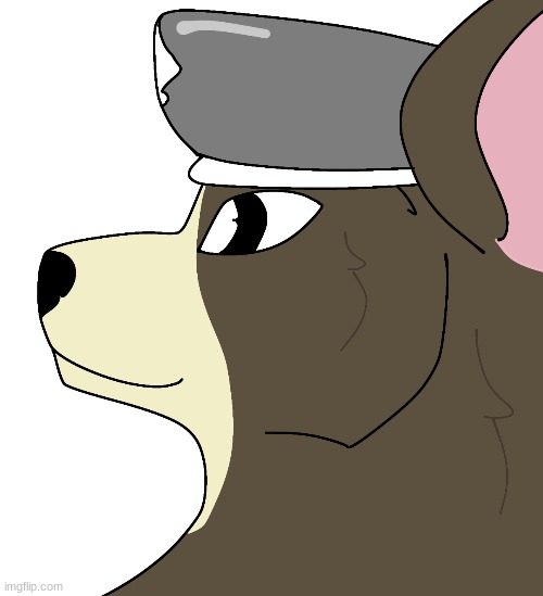 Drew Hanz. as a bear | image tagged in took 15 mins | made w/ Imgflip meme maker