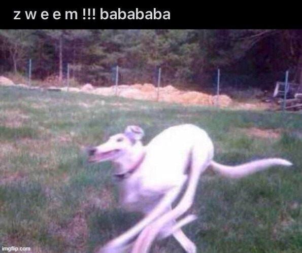 zweem | made w/ Imgflip meme maker