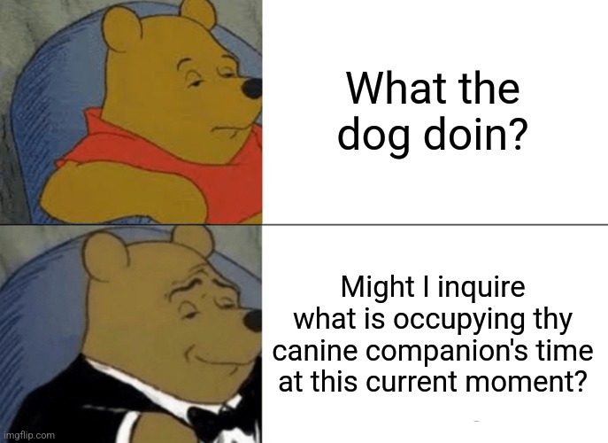 Tuxedo Winnie The Pooh Meme | What the dog doin? Might I inquire what is occupying thy canine companion's time at this current moment? | image tagged in memes,tuxedo winnie the pooh | made w/ Imgflip meme maker