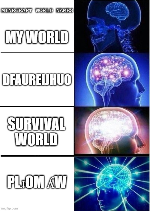 Expanding Brain | MINECRAFT WORLD NAMES; MY WORLD; DFAUREIJHUO; SURVIVAL WORLD; PLɹOM ʎW | image tagged in memes,expanding brain | made w/ Imgflip meme maker