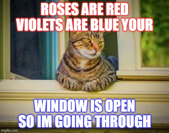 My cat when he saw a window | ROSES ARE RED VIOLETS ARE BLUE YOUR; WINDOW IS OPEN SO IM GOING THROUGH | image tagged in idk | made w/ Imgflip meme maker